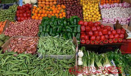 صورة من مقال: قائمة بأسعار الخضروات والفواكه وبعض المنتجات الأخرى في سوق الناصرية المحلي